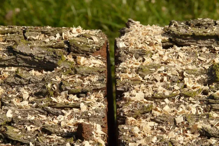 Pale wood shavings and sawdust scattered across rough sawn timber.