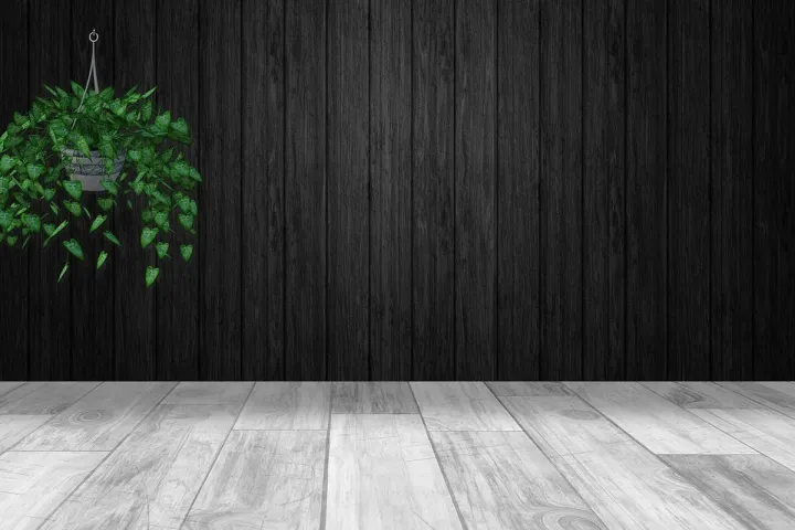 An empty room with a bare wooden floor, plain walls and a single hanging plant.